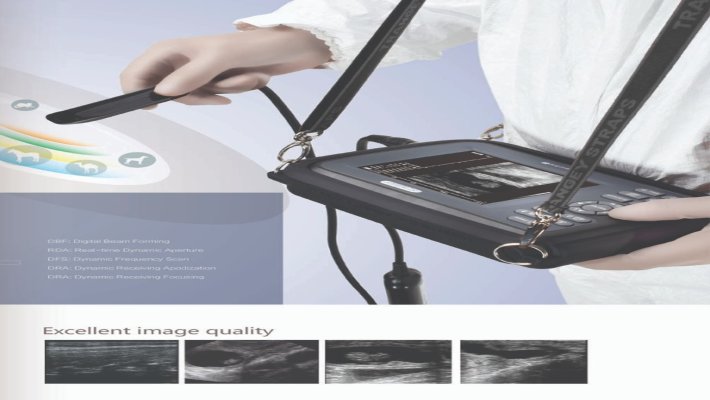 ECÓGRAFO VETERINARIO HANDSCAN